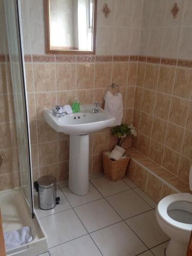 a bathroom with a sink and a toilet at Heeneys Lodge B&B in Donegal