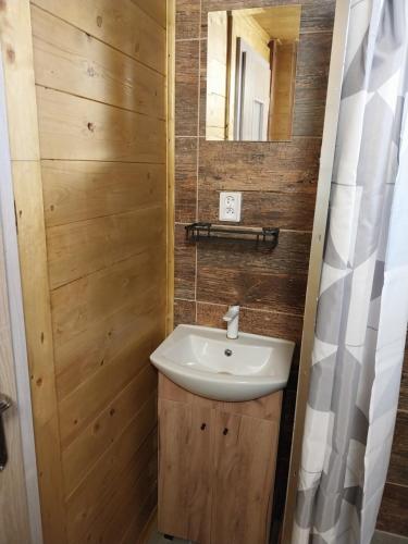 a bathroom with a sink and a mirror at Penzion u Šmídů Náměstí in Jaroslavice