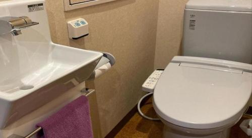 a bathroom with a white toilet and a sink at Hotel Miyama in Chichibu