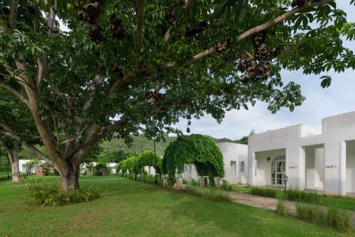 a tree in front of a white building at Villa La Flora Kaeng Krachan in Kaeng Krachan