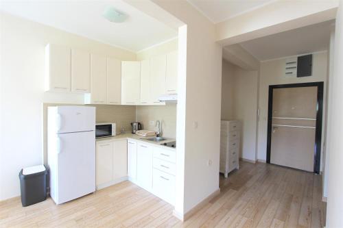 Η κουζίνα ή μικρή κουζίνα στο Apartments Aqua