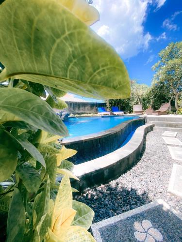 a swimming pool with a large green leaf at Abian Huts Dream Beach Lembongan in Nusa Lembongan