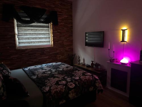 a bedroom with a bed and a tv and a brick wall at Inkognito in Teplice