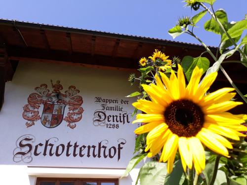 a sunflower in front of a sign on a building at Schottenhof in Fulpmes