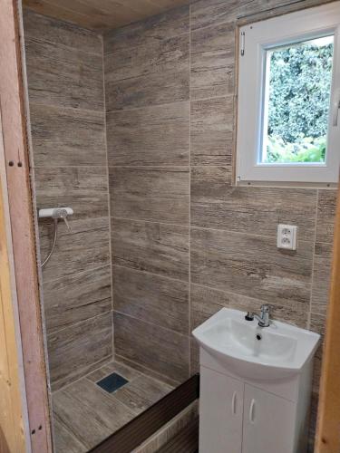 a bathroom with a shower and a sink at Penzion u Šmídů Náměstí in Jaroslavice