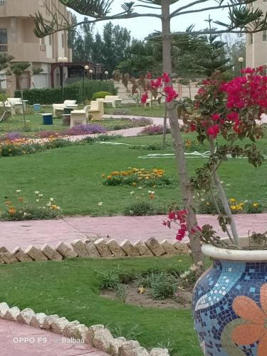 a large blue vase with flowers in a park at شاليه بقرية تاهيتي الساحل الشمالي in El Hamam