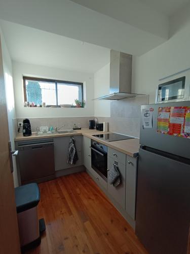 a kitchen with a refrigerator and a sink at La terrasse des Augustins in Limoux