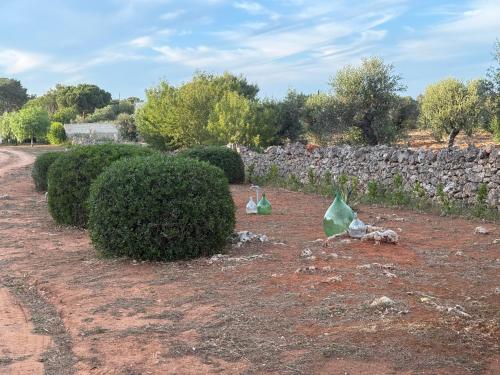 a garden with two bushes and a stone wall at Abate Filippo apartment in Nardò