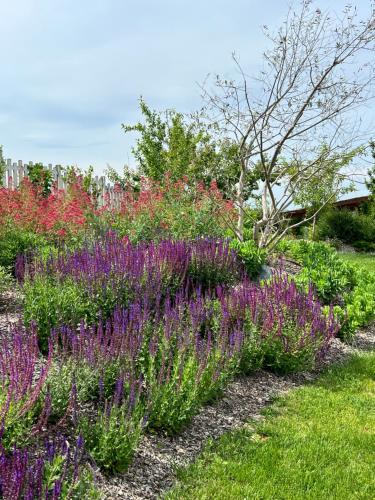 Jardín al aire libre en Villa Jilla