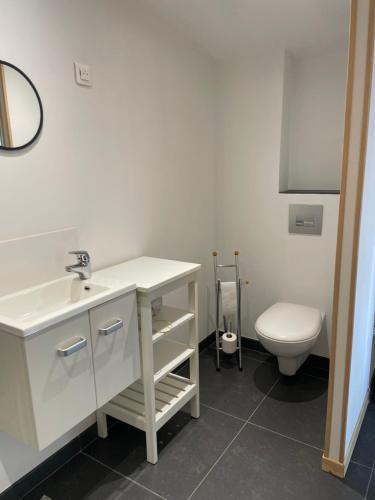 une salle de bain avec un lavabo et des toilettes dans l'établissement Les Lavandières, à Thaims