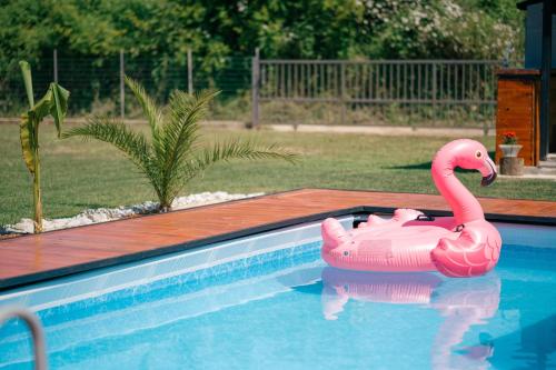 a pink inflatable flamingo in a swimming pool at RAOS Cottage in Ulcinj