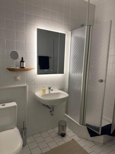 a white bathroom with a sink and a shower at Ferienapartment Janow in Spantekow