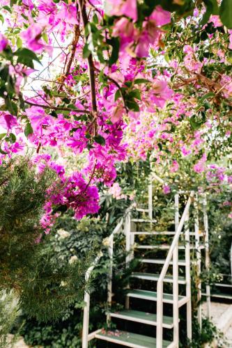 a group of stairs with pink flowers at Stone Beach Residence - Adults Only Resort in Qeparo