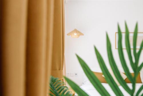 a plant sitting next to a window with a curtain at Guan Erjie Boutique Hotel (Huimin Street of Xi'an Bell Tower ) in Xi'an