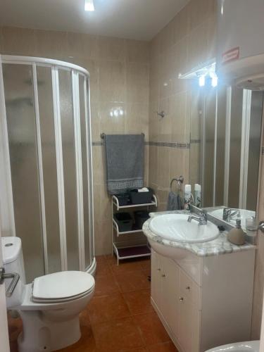 a bathroom with a toilet and a sink and a shower at Apartment zona Naturista in Vera