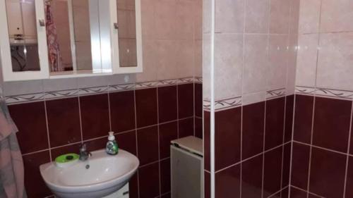 a bathroom with a sink and a mirror at Janka vendégház és Apartman in Abádszalók