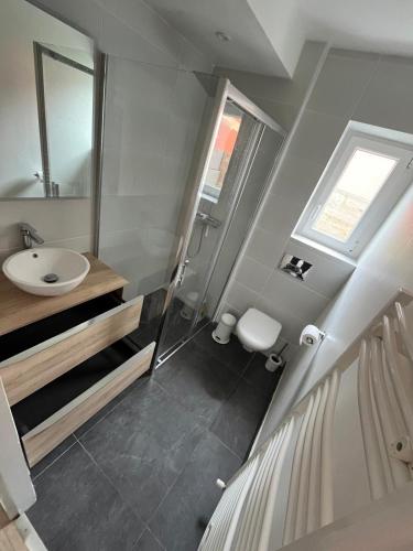 une salle de bain avec un lavabo, une douche et des toilettes dans l'établissement Agréable maison de ville avec une belle terrasse, à Anglet