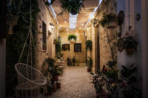 a hallway filled with potted plants in a building at Il Giardino di Sole in Bari