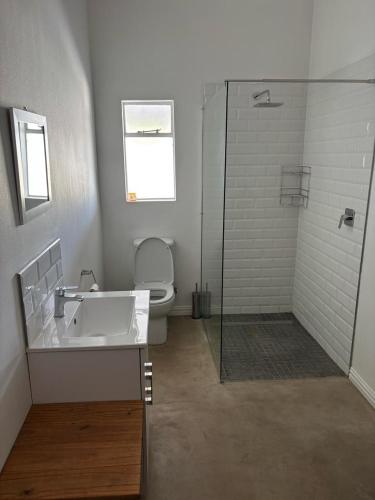 a bathroom with a toilet and a sink and a shower at Pretoriuskuil in Aberdeen