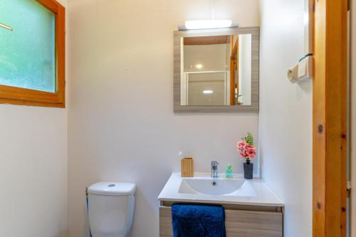 une salle de bain avec un lavabo, des toilettes et un miroir dans l'établissement Camping Le Hameau du Petit Lay, à Mouchamps