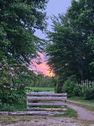 a bench on a path with a sunset in the background at Holmely Bed & Breakfast in Brædstrup