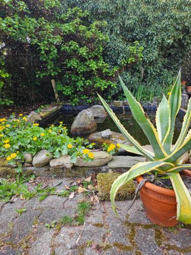 a potted plant in a garden with some flowers at Holmely Bed & Breakfast in Brædstrup