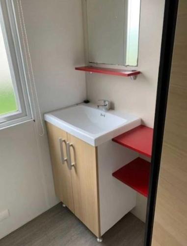 une salle de bain avec un lavabo et un miroir dans l'établissement Camping 3 étoiles - Parc aquatique - ccaehgc, à Déols