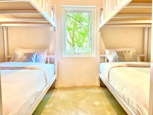 通萨拉Hi Sea Hostel - Seaside Comfort - 10mn from Pier的房间里有两张双层床，还有一扇窗户。