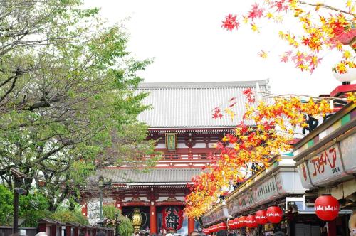 Nestry Asakusa 502号室