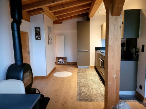 Η κουζίνα ή μικρή κουζίνα στο Portes du Soleil T3 "comme un chalet" direct access Morzine Avoriaz