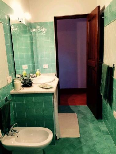 a green bathroom with a sink and a mirror at Borgo Medioevale Siete Fuentes in Santu Lussurgiu