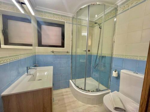 a bathroom with a shower and a sink and a toilet at Okai Etxea Bermeo, suite en el centro de la villa in Bermeo