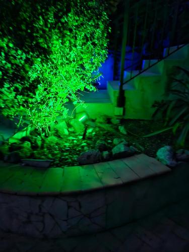 Photo de la galerie de l'établissement Roquebrune-Cap-Martin - Charmant 2 pièces - Vue Mer - Terrasse- Parking - Proximité Monaco et Plages, à Roquebrune-Cap-Martin