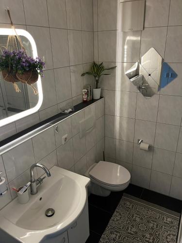 a bathroom with a sink and a toilet and a mirror at NO-Television One bedroom apartment in Herrsching am Ammersee