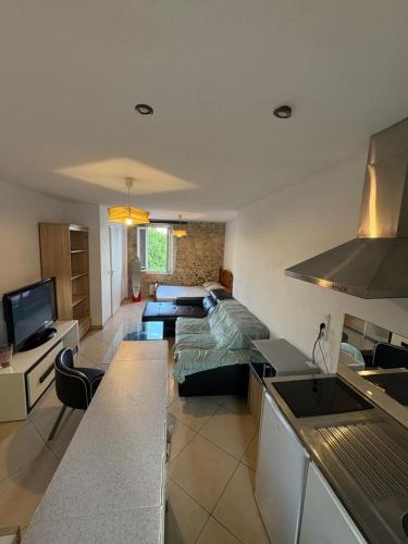 Il dispose d'une cuisine et d'un salon avec un canapé et une cuisine. dans l'établissement Au pied de l'ermitage, à Alès