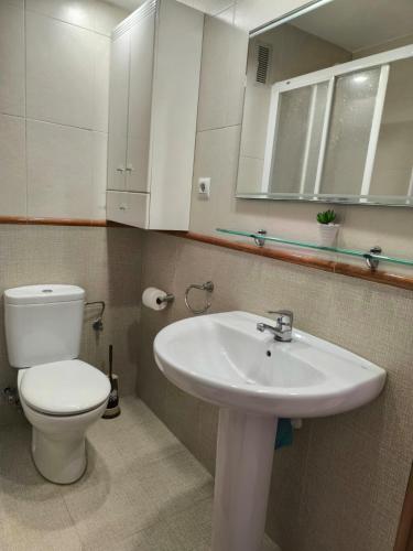 a bathroom with a white toilet and a sink at Ibón de Piniecho in Formigal