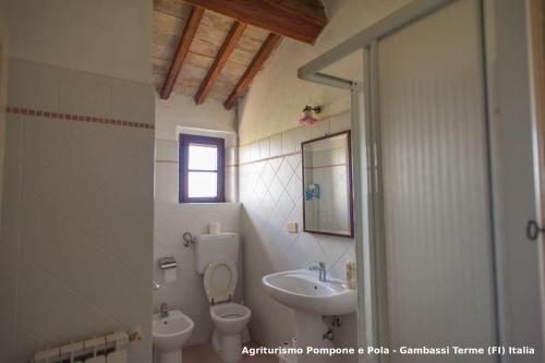 a bathroom with a toilet and a sink and a mirror at Agriturismo Pompone e Pola in Gambassi Terme