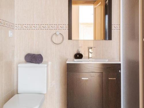 un bagno con un water, un lavandino e uno specchio di Campanal de Izas a Villanúa