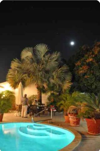 a large blue pool with palm trees and a moon at Palmitas Hostel with pool in Oranjestad