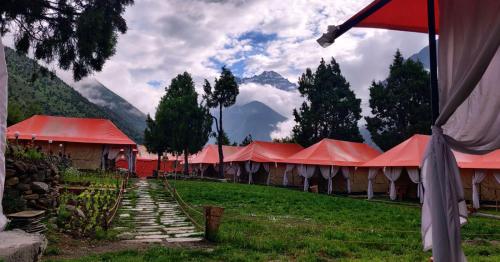 Příroda nedaleko luxury tent