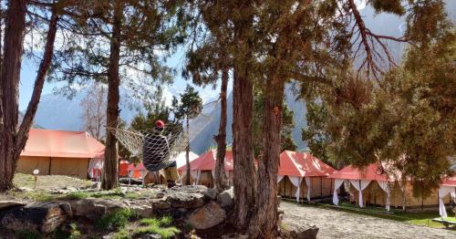 Příroda nedaleko luxury tent