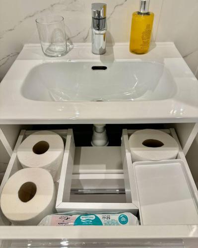 a bathroom sink with rolls of toilet paper under it at BOOGIE Home Kamienica Łódzka in Łódź
