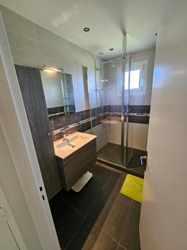 une salle de bain avec un lavabo et une douche dans l'établissement Charmante villa près du centre de Bayonne et des plages, à Boucau