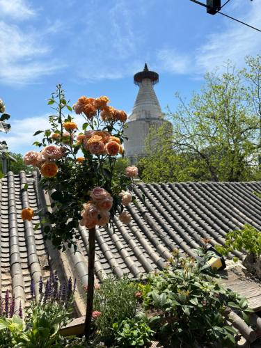 Jardín al aire libre en 北京悦明元星空白塔景观四合院民宿
