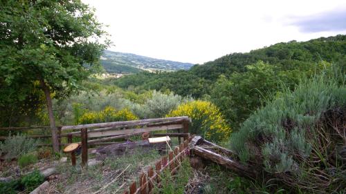 Φυσικό τοπίο κοντά σε αυτό το διαμέρισμα
