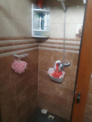a bathroom with a shower with a toilet in it at Appartement aissa in Oulad Akkou