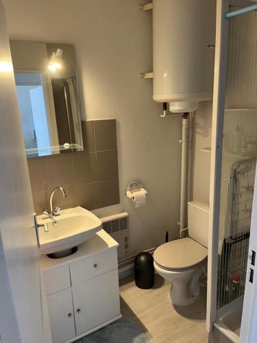 une salle de bain avec un lavabo, des toilettes et un miroir dans l'établissement Acces direct à la mer proche thalasso, à Cabourg