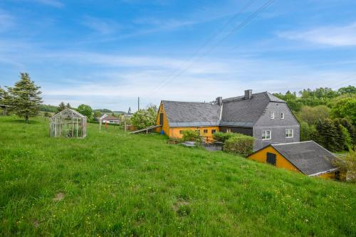 a house on a hill with a green field at Guesthouse Niederschlag - Sauna & BBQ im Erzgebirge in Bärenstein