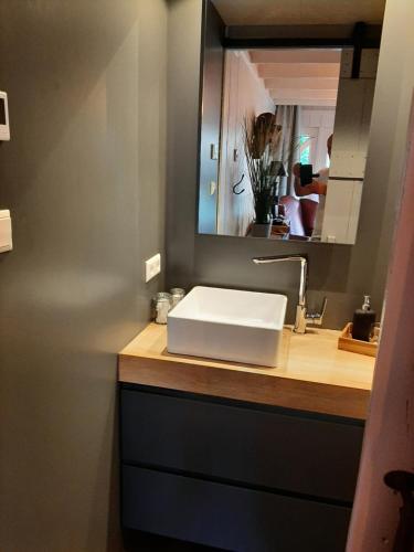 a bathroom with a white sink and a mirror at Tinyhouse met Hot Tub en ruime privé tuin in Gees