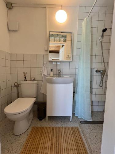 a bathroom with a toilet and a sink and a shower at Bazalt Tigris Vendégház in Zalahaláp